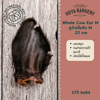 Hoya Whole Cow Ear M Dog Treat