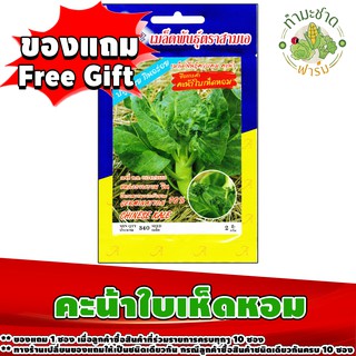 สินค้าของแถม Free Gift 1 ซอง เมื่อลูกค้าซื้อสินค้า เมล็ดพันธุ์ผักซอง 15 และ 25 บาท ในร้านค้า ทำมะชาดฟาร์ม ครบทุกๆ 10 ซอง