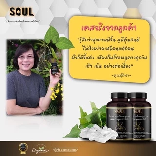 (1 กระปุก) ส่งด่วน ของแท้ อาหารเสริมพลูคาว ลดอักเสบ ไอ ผื่น คัน ภูมิแพ้ ผิวหนัง โซลพลูคาวเบต้ากลูแคน