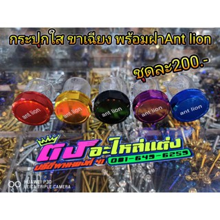 กระปุกใส ขาเฉียง Ant lion พร้อมฝ่า ครบชุดมี5สี  อันละ200
