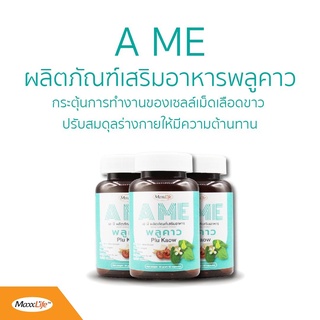 Maxxlife AME พลูคาว/60 แคปซูล ผลิตภัณฑ์เสริมอาหาร พลูคาว