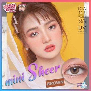 mini Sheer Brown (1)(2) มินิ สีน้ำตาล น้ำตาล Kitty Kawaii คอนแทคเลนส์ Contact Lens สายตาปกติ สายตาสั้น แฟชั่น ค่าสายตา