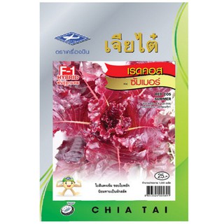 เมล็ดพันธุ์ เมล็ดพันธุ์เรดคอส ซัมเมอร์ ปุ๋ยและเมล็ดพันธุ์ สวนและอุปกรณ์ตกแต่ง SEED RED COS SUMMER