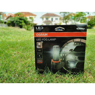 Osram LEDriving Fog Lamp