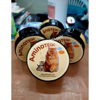 ไลซีนผง(L-Lysine) อะมิโนเทคค์(Amino TEQC) อาหารเสริม ช่วยกระตุ้นระบบภูมิคุ้มกันสำหรับแมวขนาด 100g.
