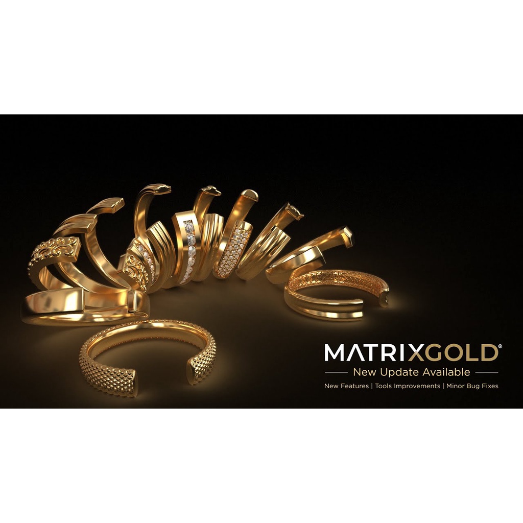 โปรแกรม MatrixGold 3.1 Matrix 8.0 Matrix 9.0 Rhinoceros 5.9 JewelCAD Pro 2.2 RhinoGold 6.6 (C028)
