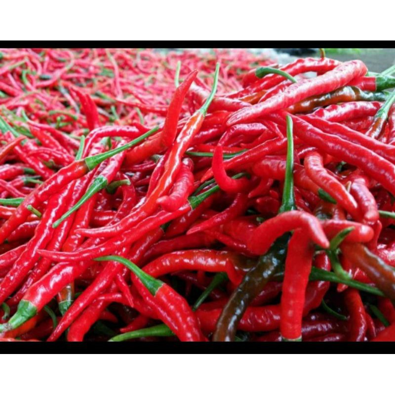 MERAH AKAR พริกแดงหยิก ตรา 500g / 1Kg บรรจุภัณฑ์
