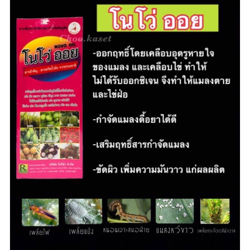 โนโว่ออย น้ำใส ลงน้ำขาว #ไวต์ออยล์ (ปิโตรเลี่ยมออย100%)1 ลิตร