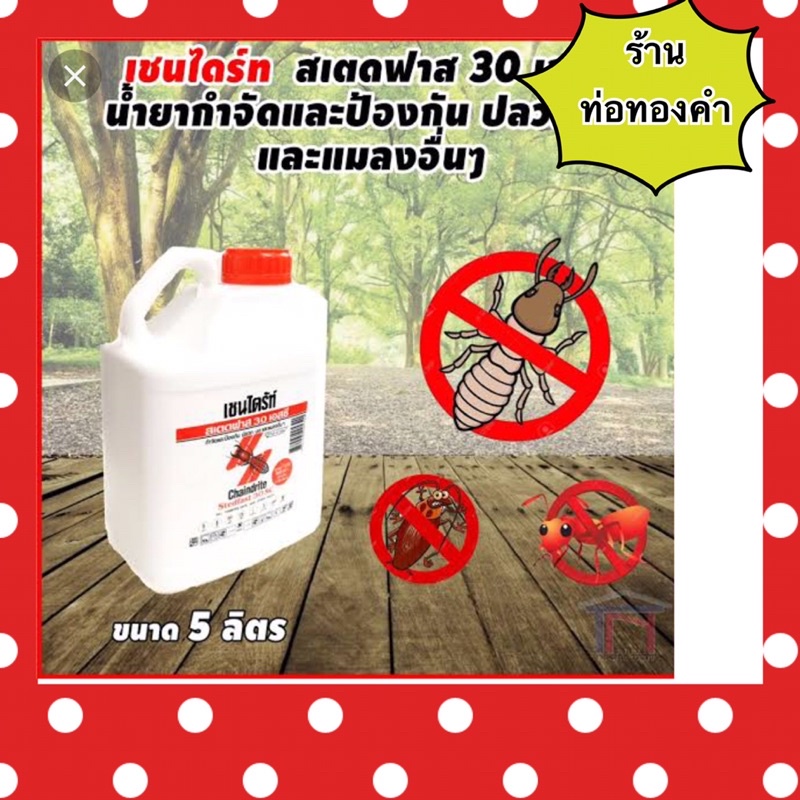 เชนไดร้ท์ สเตดฟาส 30 เอส.ซี.น้ำยากำจัดปลวก ขนาด5ลิตร เชนไดร้ท์ราดพื้น น้ำยากันปลวกก่อนปลูกบ้าน น้ำยาฆ่าปลวกแบบเข้มข้น