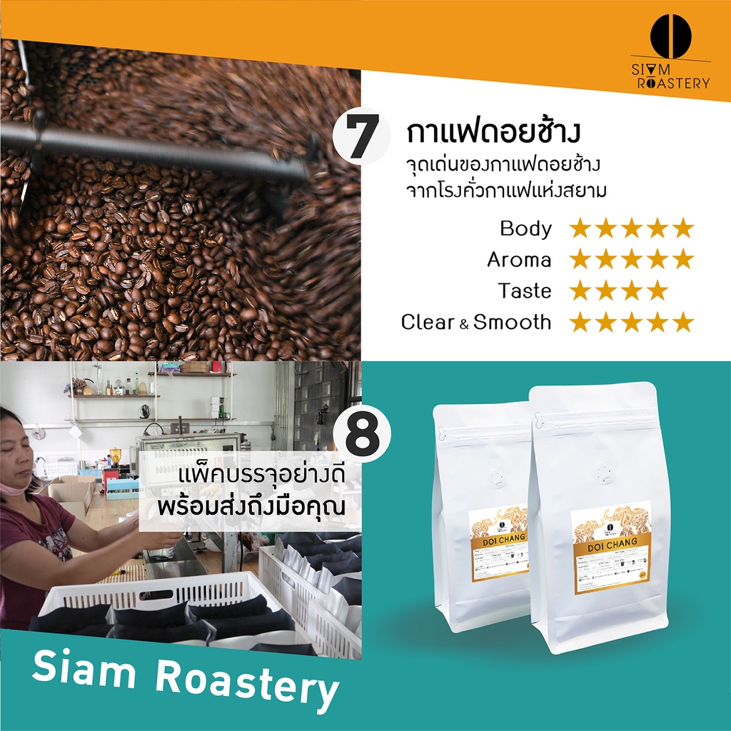 เมล็ดกาแฟคั่ว ดอยช้าง Doi Chang กาแฟดอยช้าง Washed Process (คั่วอ่อน|คั่วกลาง|คั่วเข้ม) 250 กรัม ราคา ถูกที่สุด ดีลบีเคเค แกลเลอรีภาพที่ 9
