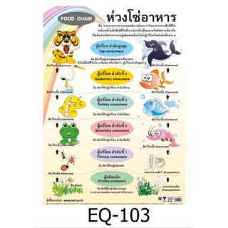 ห่วงโซ่อาหาร EQ-103 สื่อโปสเตอร์ภาพ กระดาษ หุ้มพลาสติก