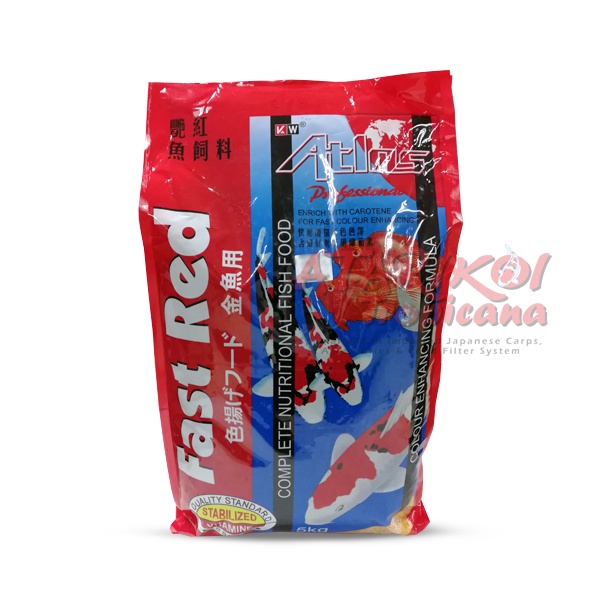 Atlas Fast Red (XL) 5KG
