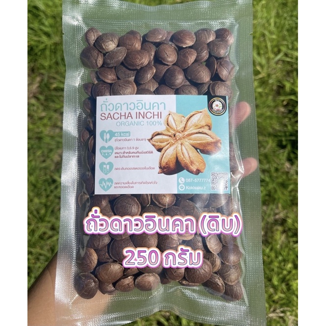ถั่วดาวอินคา (ดิบ) ขนาด 1กิโลกรัม ออแกนิค100% เมล็ดพันธุ์ sacha inchi seed