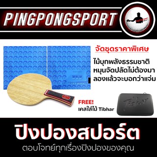 Pingpongsport ไม้ปิงปอง Sanwei Flextra + ยาง Kokutaku 868 Spin Power สองด้าน แถมฟรี Hard Case Tibhar