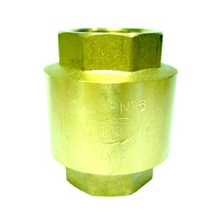 Check valve SPRING CHECK VALVE PP 1/2" GOLD Water valve Water supply system เช็ควาล์ว เช็ควาล์วสปริง PP 1/2 นิ้ว สีทอง ว