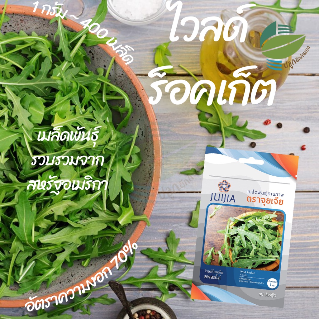 ไวลด์ร็อกเก็ต (Wild Rocket) #เมล็ดผักสลัด