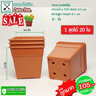 กระถางพลาสติก กระถางแคคตัส กระถางกระบองเพชร 20 ใบ ขนาด 3.4 นิ้ว  มีให้เลือกหลายสี