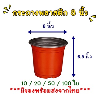 กระถางพลาสติก PPบาง 8 นิ้ว ราคาถูก **มีของพร้อมส่งจากไทย**