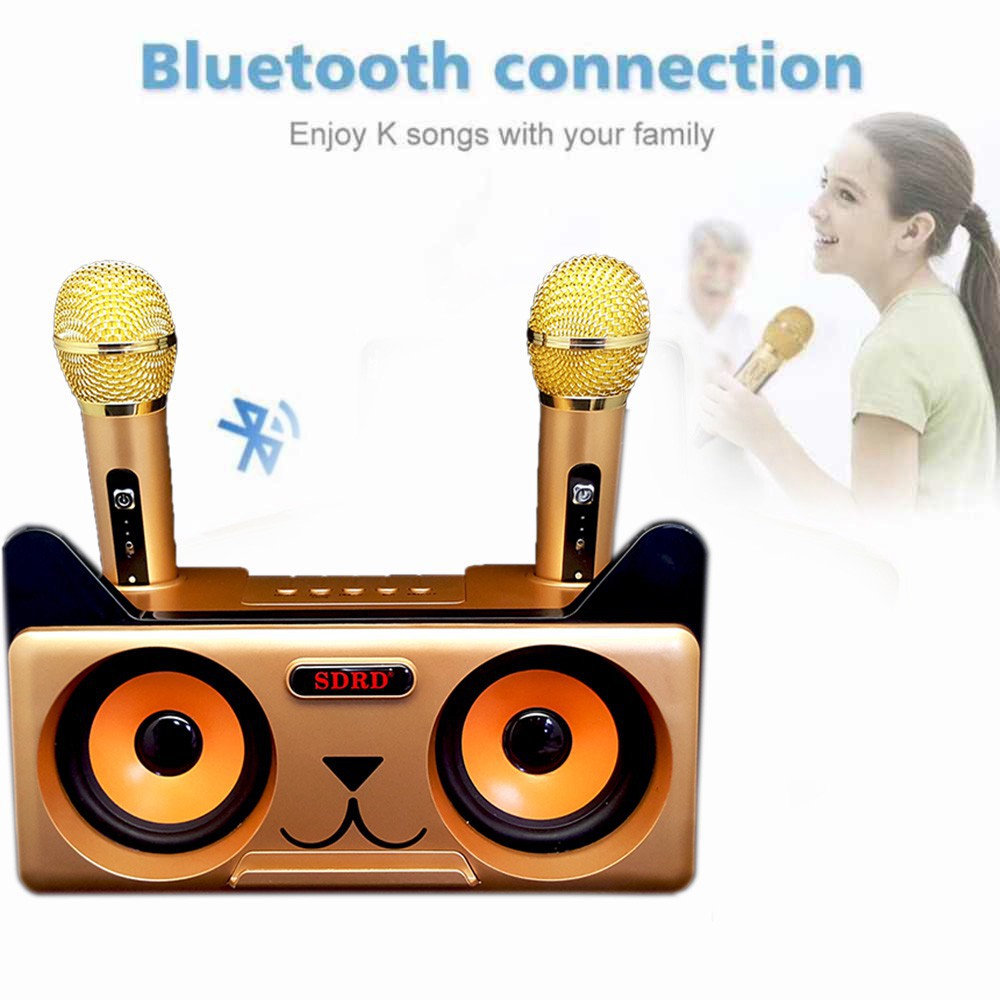 Dual Microphone Wireless Bluetooth Karaoke Portable 3D Stereo Speaker ...