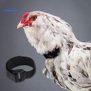 FM🐕ปลอกคอไก่ 2 ชิ้น Anti Crow Noise Free Rooster Belt หัวเข็มขัดปรับได้อุปกรณ์สำหรับสัตว์ปีกสำหรับเป็ด