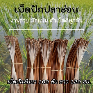 เบ็ดปักคันนา 100 คัน ยาว 120 ซม. เบ็ดปัก เบ็ดปักไม้ไผ่ เบ็ดไม้ปัก เบ็ดปักปลาช่อน เบ็ดธง ใช้ผิวไม้ดี รมควันอย่างดี