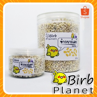 ข้าวบาร์เลย์นก อาหารนก ออแกนิก เกรดA * พร้อมส่ง - Organic Barley for birds, Grade A, Ready to ship