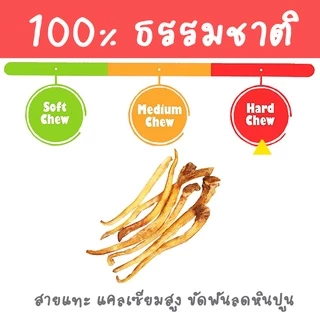 Cartilage cleans teeth dog chew กระดูกอ่อนวัว 100% ย่อยได้ กระดูกขัดฟัน แทะเล่น ขนมสุนัข ขนมหมา umm