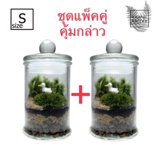 ชุดจัดสวนโหลแก้ว DIY 1แถม1 Size S