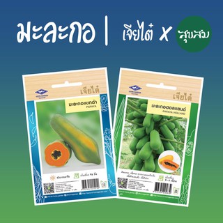 เมล็ดผัก เมล็ดมะละกอ มะละกอแขกดำ มะละกอฮอลแลนด์ มะละกอฮอนแลนด์ มะละกอ Papaya l เจียไต๋  เมล็ดพันธุ์ผัก ปลูกผัก