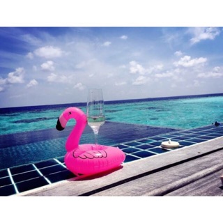 Flamingo ฟลามิงโก้