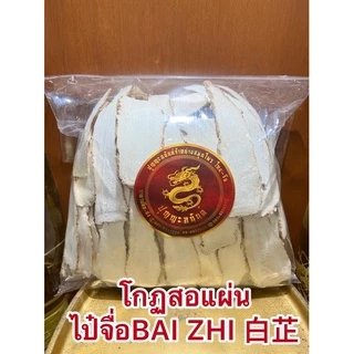 โกฐสอแผ่น ไป๋จื่อBAI ZHI 白芷 แปะจี้แผ่นหรือโกฏสอ โกฏสอแผ่น แปะจี้
