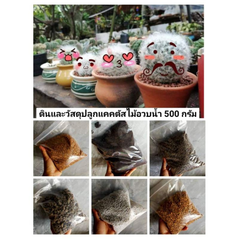 Garden Soils & Growing Media 10 บาท ดินปลูกแคคตัส และวัสดุปลูก ขนาด 500 กรัม หินโรยหน้า ดินปลูกสูตรพิเศษ Home & Living