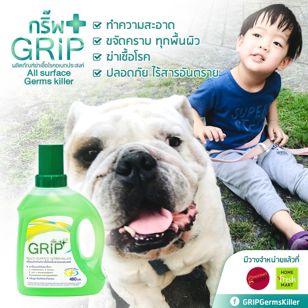 GRIP Germs Killer (กริ๊พ) น้ำยาฆ่าเชื้อโรคทำความสะอาด น้ำยาฆ่าเชื้อโรค ขนาด 500ml ผ่านการทดสอบจากมหาวิทยาลัยมหิดล