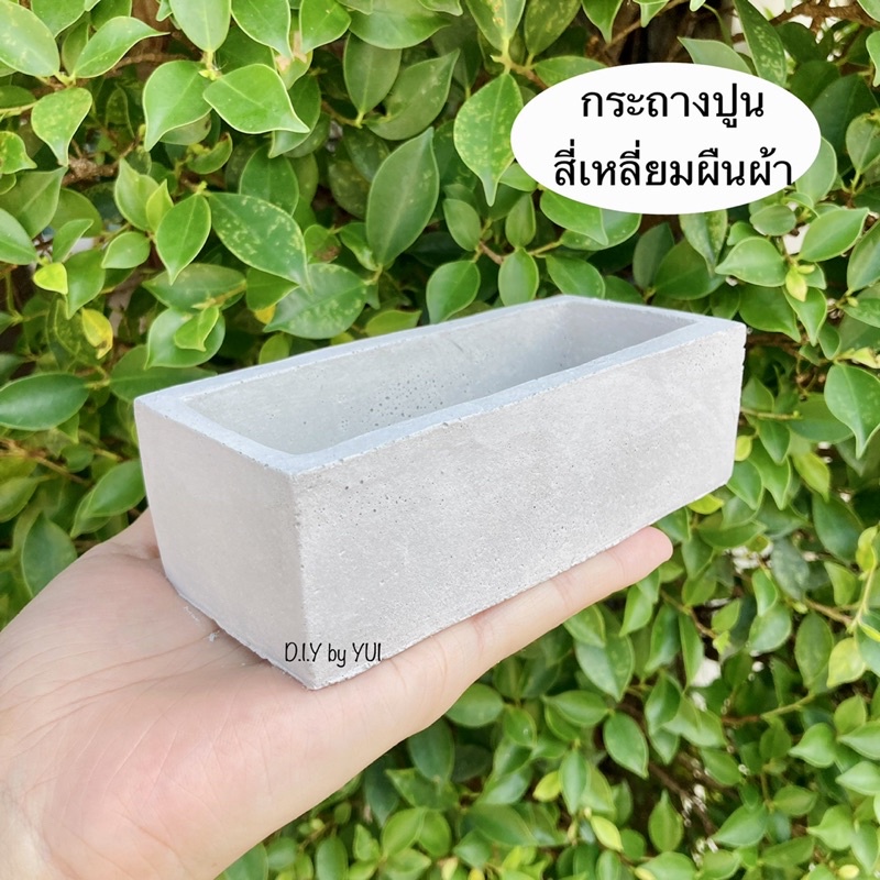 กระถางปูน กระถางแคคตัส กระถางปูนเปลือย