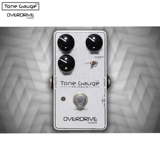 Tone Gauge เอฟเฟก รุ่น TG-459 ของแท้100%