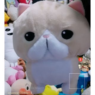 ลิ้งค์สำหรับกดซื้อตุ๊กตาร้านโบว์ค่ะ ตุ๊กตาน่ารักๆ นำเข้า มือ 2 จากประเทศญี่ปุ่น