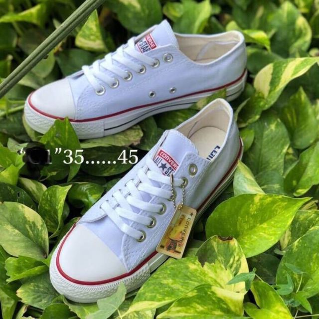 STAR ALL CONVERSE