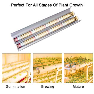 Cannabmall CM300W LED Grow Light T5 LED Grow Tubes Samsung LM281B LEDs 2FT จริง 30W Sunlike Grow โคมไฟเต็มสเปกตรัมชุดสะท้อนแสงพืช Super Bright พืชเติบโตแสงพร้อมที่แขวนเชือกสำหรับพืชในร่ม