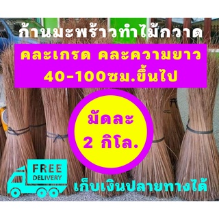 ก้านทางมะพร้าว ยาว 40ซม ถึง 100ซมขึ้นไป 2 กิโลกรัม คละเกรด ก้านเหลาใหม่ ไม่ผุ ไม่ชื้น ไม่ขึ้นรา ส่งฟรีทั่วประเทศ เก็บเงิ