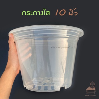 กระถางใส 6,8,10,12 นิ้ว / 5 ใบ