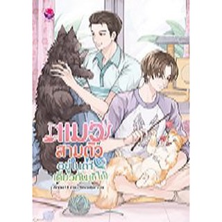 แมวสามตัวอยู่ในถ้ำเดียวกัน (ก็ได้) / Ailime13  หนังสือใหม่ สภาพ95%