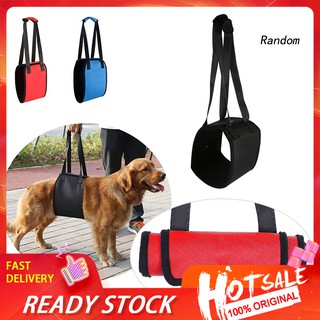 ♦RAN♦Dog Protector Rope Stand Up Tool Harness Pet Wheelchair Blind Aid Assist Sling