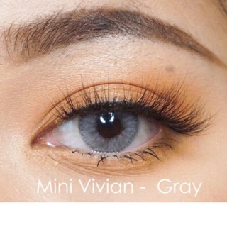 Kitty Kawaii คอนแทคเลนส์ Mini ViVian Grey (สีเทา) ค่าสายตา 0.00 + ฟรีตลับใส่เลนส์