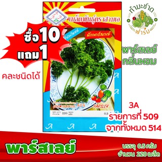 (ซื้อ10แถม1) เมล็ดพันธุ์ พาร์สเลย์ Parsley ประมาณ 220เมล็ด 3A สามเอ ผักสวนครัว เมล็ดพันธุ์พืช เมล็ดผัก เม็ดผัก พืชผัก