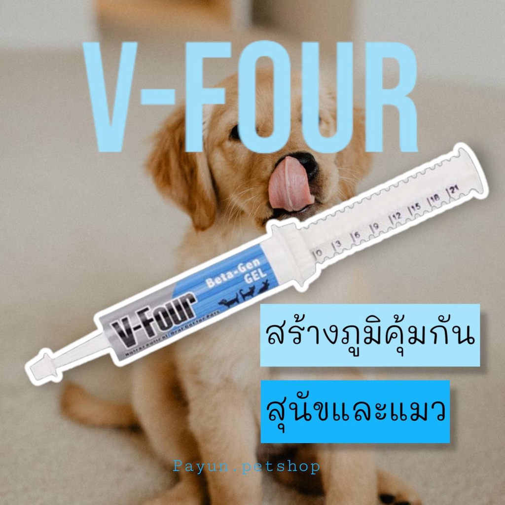 V-Four Beta-Gen Betagen Gel Dog Cat Supplement วีโฟร์ (สีฟ้า) อาหารเสริม ภูมิต้านทาน สร้างภูมิคุ้มกั