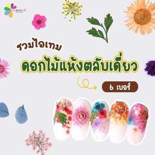 ดอกไม้แห้งแต่งเล็บ ดอกไม้ตลับเดี่ยว เบอร์1-6