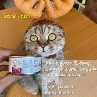 [ส่งฟรี+แถม1กป] ชูชู อาหารเสริม บำรุงแมวซุปไก่สกัดเข้มข้น(80 กรัมx12กระป๋อง)ดูแลไตสำหรับแมวด้วยสารสกัดจากแครนเบอร์รี่