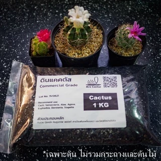 (ถุง1โล)🌵ดินปลูกแคคตัสราคาส่ง 20 บาท พร้อมปลูก ดินปลูกกระบองเพชร ระบายน้ำดี มีกันเพลี้ย รา 1kg 1กก.
