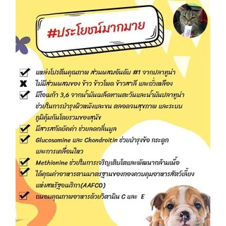 [ ส่งฟรี ] เม็ดS 12kg. 𝐙𝐄𝐍𝐎 อาหารสุนัขซีโน่ รสปลาทูน่า น้องหมาทานได้ทุกสายพันธุ์ ทุกช่วงอายุ