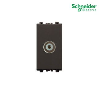 Schneider Electric เต้ารับโทรทัศน์ 75 โอห์ม สีน้ำตาล รุ่น ZENcelo - 8431STV_BZ ชไนเดอร์